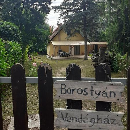 TiszaugBorostyan Vendeghazアパートメント エクステリア 写真